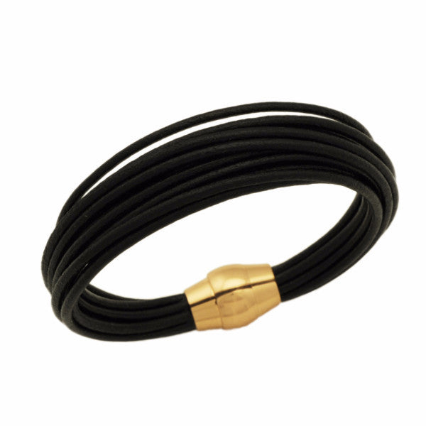 BT013-NPIC BT013-NPIC