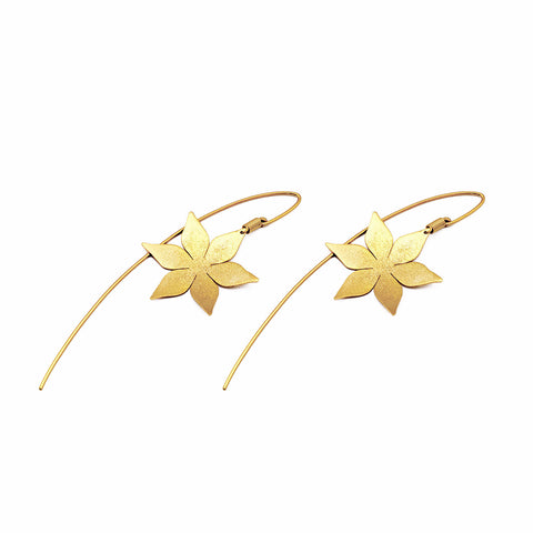 OR075-STELLATA